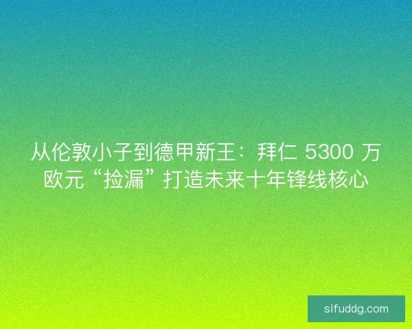 从伦敦小子到德甲新王：拜仁 5300 万欧元 “捡漏” 打造未来十年锋线核心