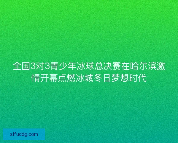 全国3对3青少年冰球总决赛在哈尔滨激情开幕点燃冰城冬日梦想时代